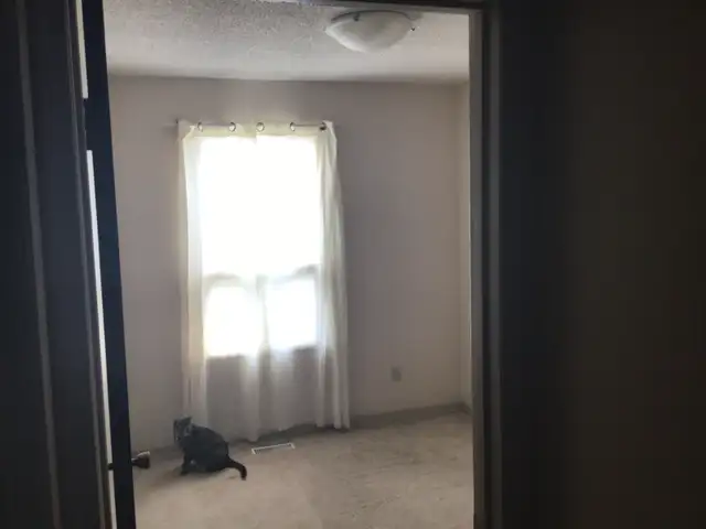 Private Room for Rent in Room Rentals & Roommates in Winnipeg - Image 2