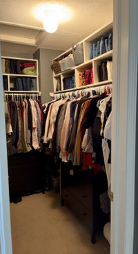 Organizing, Decluttering and Cleaning 