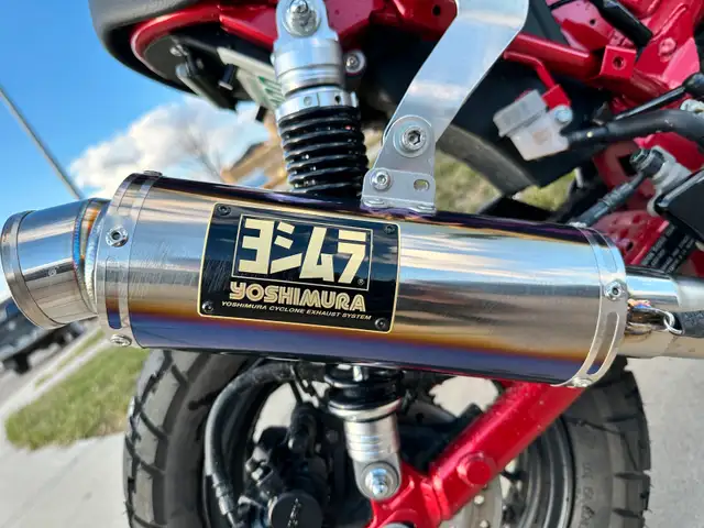2024 Honda monkey in Scooters & Pocket Bikes in Moose Jaw - Image 3