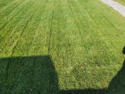 booking weekly lawn cuttings and spring cleanup, View more