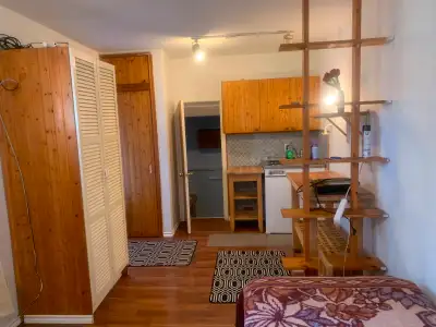 Studio/bachelor apartment for rent DVP and York Mills from april or may... The apartment is not in a...