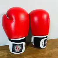 Gants de boxe - boxing glove