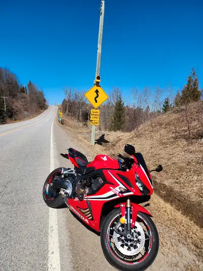 Selling my Honda CBR 650 RA from 2019, full ecxausth Akrapovick, flash and tuned, $680,00 seat cover...