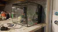 9 gallon Fish Tank FLUVAL and accessories