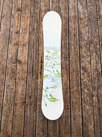 Mole PAC Advance Eccentric 48 Snowboard