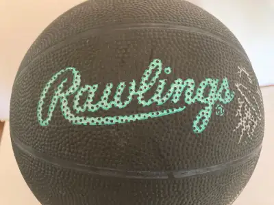 Rawlings Basketball XXXX, View more