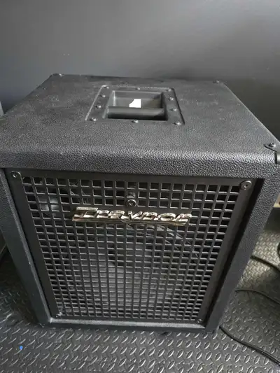 Traynor 12 "Bass Cabinet, View more