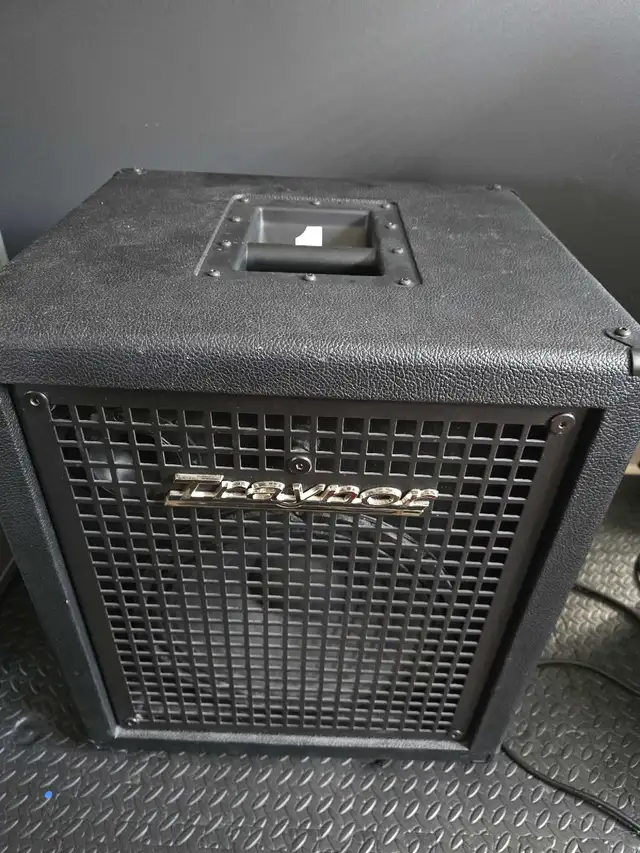 Traynor 12 "Bass Cabinet in Amps & Pedals in Mississauga / Peel Region - Image 2