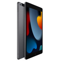 BNIB - iPad 9th Gen 256GB with 4G LTE