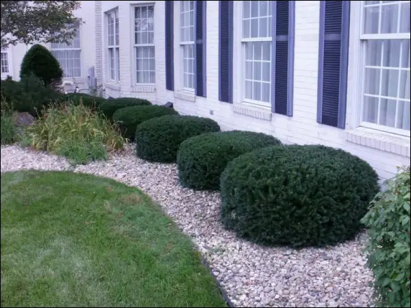 ABOVE ALL TREE SERVICES - CERTIFIED ARBORISTS ✅ (204) 898-2444 in Lawn, Tree Maintenance & Eavestrough in Winnipeg - Image 6