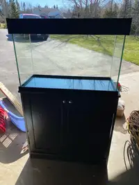 Fish Tank w/ Automatic Draining & Filter System