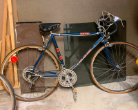 Men’s and ladies 10 speed bikes in exceptional good condition