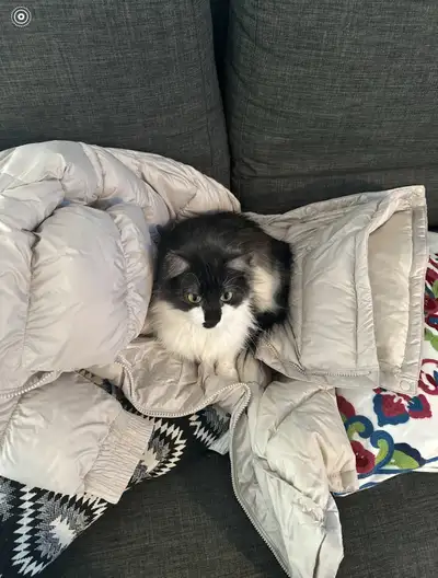 rehoming Thisbe, View more