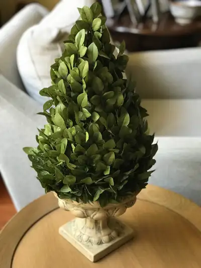 20” Artificial Boxwood Topiary in Urn, View more