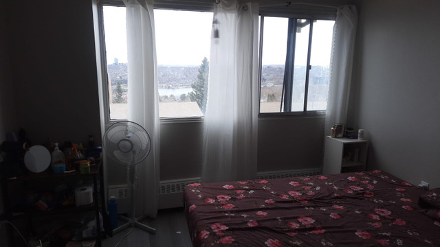 Apartment room available for rent for girls  in Room Rentals & Roommates in City of Halifax - Image 2