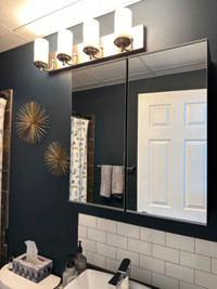 Bathroom Mirror/Medicine Cabinet IKEA