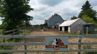 Horse boarding - Indoor