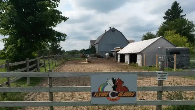 Horse boarding - Indoor in Animal & Pet Services in Ottawa - Image 2