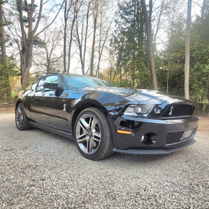 2010 Shelby Mustang GT GT500