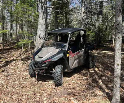 Great machine, switched to an X4 is reason for selling Comes with roof, lower windshield, winch, sea...