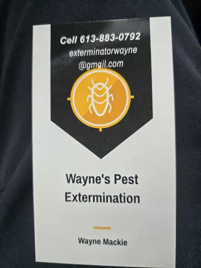 Affordable wildlife removal - pest control, View more