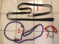 Slow Feed Dog Bowls and Leashes