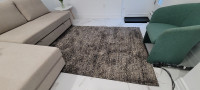 **$80**Area Rug** 5 ft x 7 ft