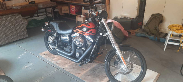 Harley Davidson in Street, Cruisers & Choppers in Petawawa