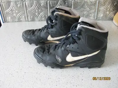 EXCELLENT CONDITION, USED ONE SEASON LIGHTLY.