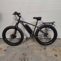 Northrock XC00, electric, 750W,48V