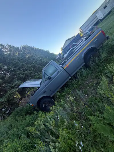 Selling a 1995 Ford f250 Batteries are Fried but I know it’s got really low mileage It has a bad oil...