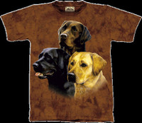 Labrador Retriever t-shirt, lab tee, choc lab, T