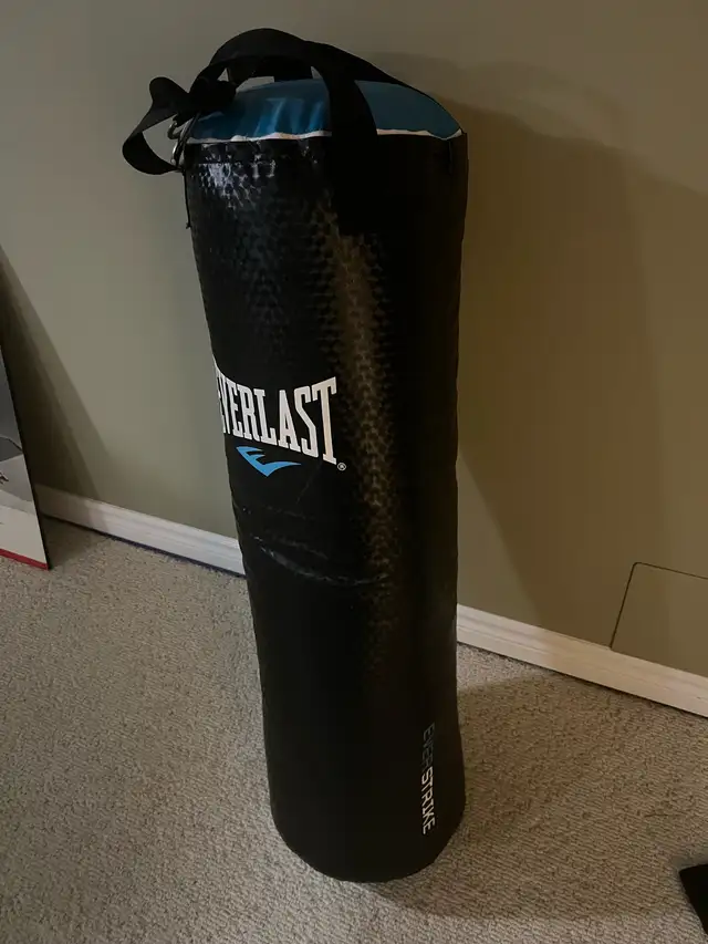 Everlast medium sized punching bag in Exercise Equipment in Stratford - Image 4