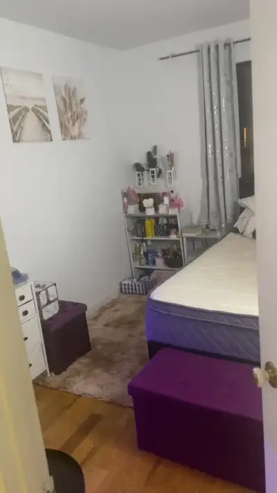 colocation dans une 4 et demi à louer