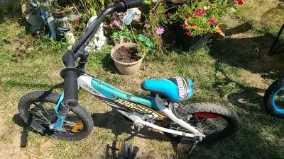 CCM Arrow 14-inch Bike, View more