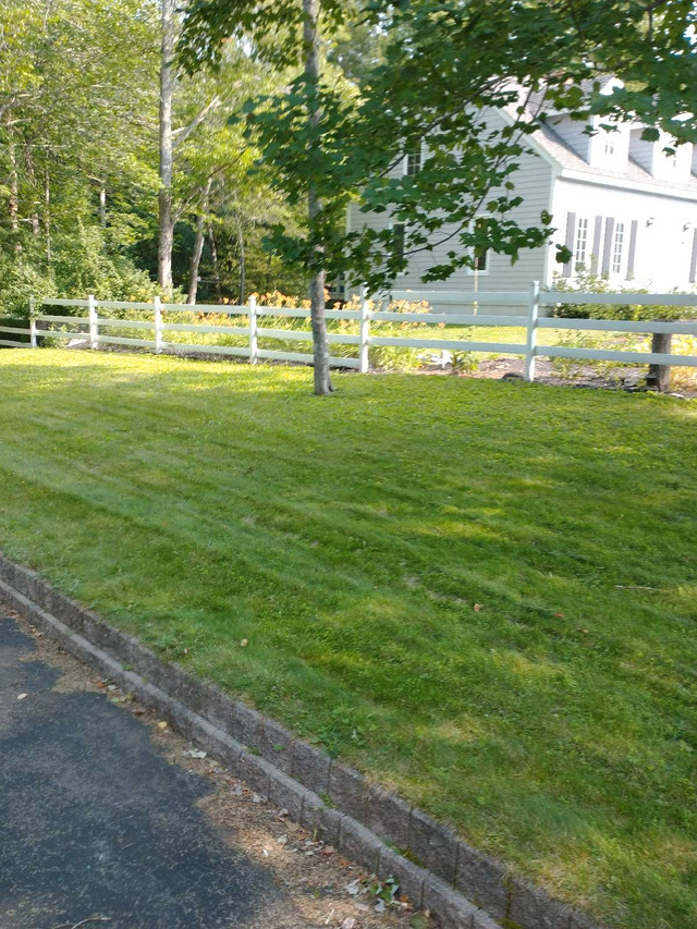 Lawn care, Spring cleanup, Odd Jobs in Lawn, Tree Maintenance & Eavestrough in Bridgewater - Image 2