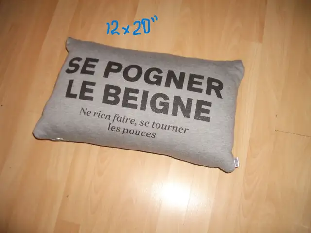 cushion  Pillow for chair or sofa  oreiller coussin 12" x 20" in Home Décor & Accents in City of Montréal - Image 7