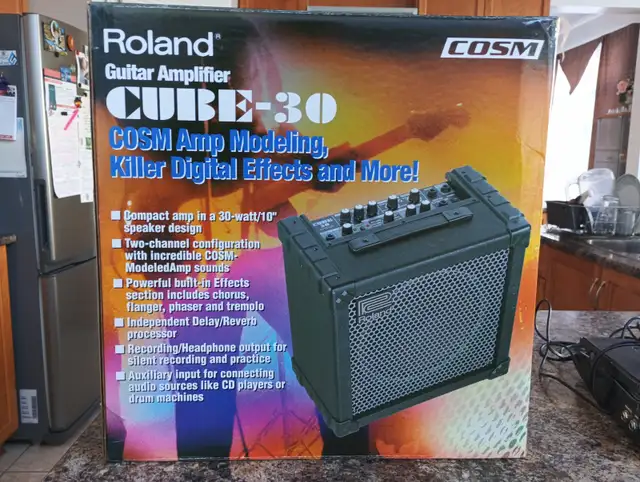 Roland Cube 30 Guitar Amplifier - in-box ; fully functional. in Amps & Pedals in Ottawa - Image 2