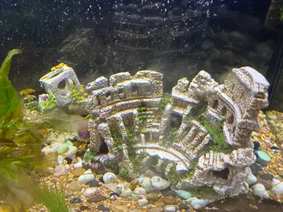 aquarium decor, View more