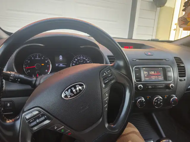 Validy Safety..2015 forte480461338413649923