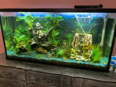 55 gallon fish tank, View more