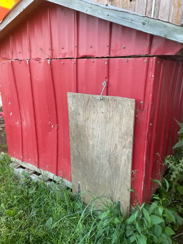 Steel dog house in Accessories in Owen Sound - Image 6