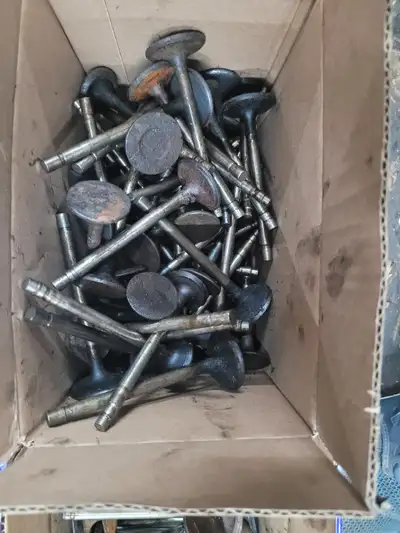 Box full of used 351 and 302 valves, probably 3 or 4 heads worth.