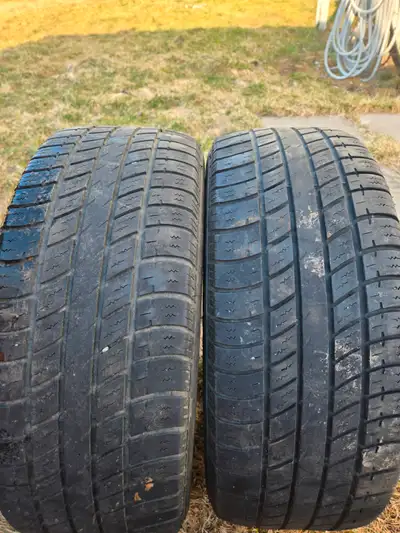 I have 2 uniroyal tiger paw 205 /55/16