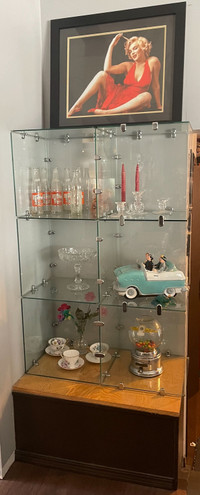 Glass Cubicle Display/Shelves