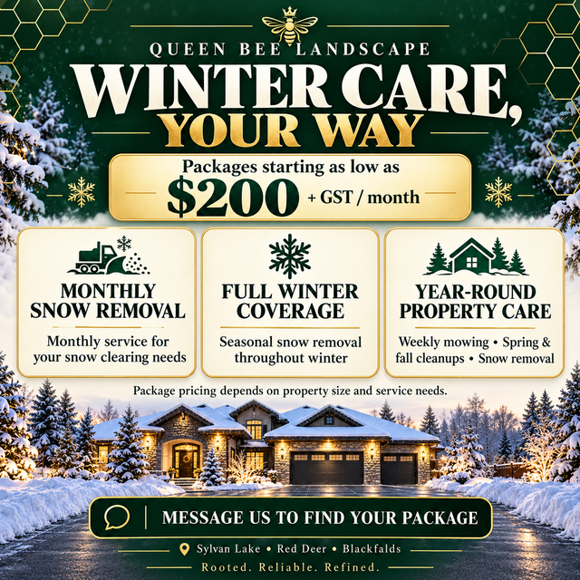 Snow Removal & Property Maintenance - Queen Bee Landscape