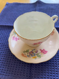 Anysley pink teacup