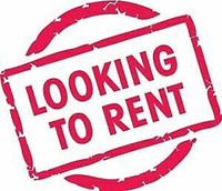 Looking to rent apartment in Kingston