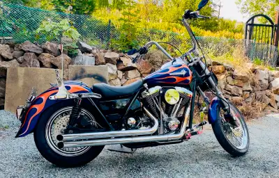 Time to let this one go. Does not get ridden enough to keep. CASH ONLY - Price is FIRM https://youtu...
