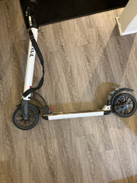 Adult metal scooter 